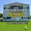 덕분이야모든개 | 더운 날씨에도 시원하게 방문할 수 있는 실내 애견운동장 카페 [카페 독스타] 화성가볼만한곳