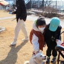 금평목장 | 전주 근교 아이와 김제 금산사 카페 달밤 w 금평저수지