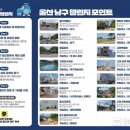 남구-50 이미지
