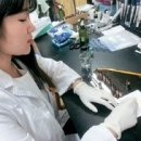 경북대학교 수사과학대학원 이미지