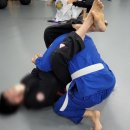 클라우스 복싱 이미지