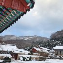 12월 17일(수) 겨울 여행지로 선운산가 좋을 것 같아서 소개 이미지