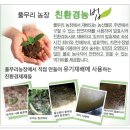 유기농 방울토마토 찰토마토 예약 주문받습니다 이미지
