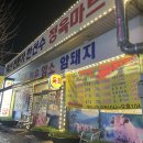 용마트정육