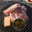 박대호제주 Miss돈 이미지