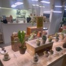 동광로1길 93-1 이미지