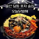 파리바게뜨 울산동평삼성 | 울산 달동 닭발 맛집 오늘닭발해 신상 술집 무뼈닭발 야식 배달