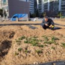 외기농장 이미지