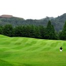 아시아나휘트니스 이미지