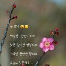 비엔비 이미지