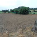 동광리-2 이미지