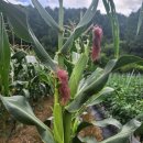 뜨락민박 이미지