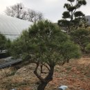 용송농원