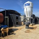 양계장농장 이미지