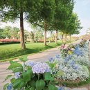 순천만 힐링 | 🌿 순천만국가정원 후기｜인생사진 찍기 좋은 힐링 여행지 (+꿀팁 &amp; 준비물 추천)