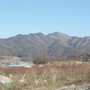 영1리경로당 이미지