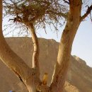 나무나무 이미지