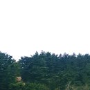 쉼이있는자유 이미지