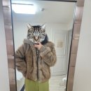 M Soft | 네벨에브리웨어 퍼자켓 내돈내산💰 -eco soft fur jacket_ ash beige