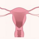 위즈미여성의원 이미지