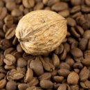 청춘비어 이미지