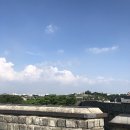 사는 얘기11/푸라닭 바질페스타/싸우는 심리학/행궁동 딥/행궁동 카페부르르/홍대 어메이징농카이/홍대...