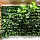 지엔브이 이미지