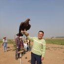 몽골여행기 2화 이미지