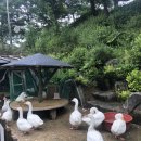공작2길 이미지