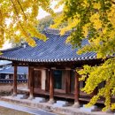 정읍동초등학교 이미지