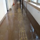 축산항초등학교 경정분교장 이미지