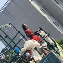 목포랑시티투어 이미지