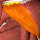 워너짐 부산대점 이미지