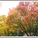 시계탑 광장 이미지