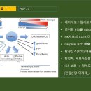 Re: 양전류와 암치유3-복합천연물의 중요성 이미지