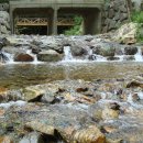 창촌주유소 이미지