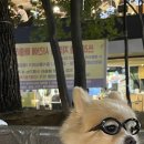 하이루