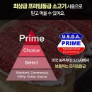 솔트스테이크 이미지