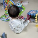 호동어린이집 | [호동육아일기] 330일에 쓰는 319일~325일