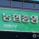 조합장 잇단 비위…농협 결국 칼 빼들었다 이미지