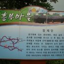 흥부가기가막혀