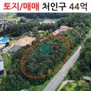 용인제일공인중개사사무소 네이버블로그