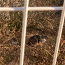 닥터지치과의원 | 일상, 아니근데 급박함을 곁들인