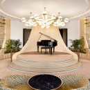 티팰리스 이미지