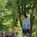 에버랜드큐패스 판다월드 바로입장 꿀팁ㅣ스마트줄서기ㅣ자유이용권 후기