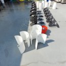 퓨리메이트