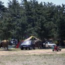 몽산포오션캠핑장 이미지