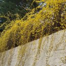 여중사거리 이미지