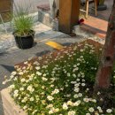 세븐남산점 이미지