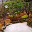 메이플랜드펜션 이미지